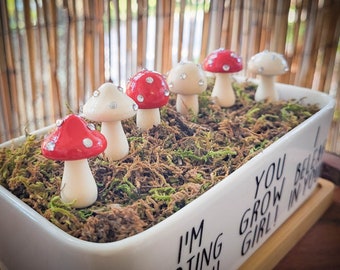Shroomies Pflanzendekor | Roter Pilz Dekor | 6 Stück SET | Pflanzenzubehör | Pflanzen Dekor | Pflanzenstecker | Feengarten | Terrarium Dekor