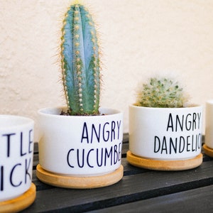 Funny Succulent Pot - Cactus Pot - Small Planter With Drainage ...