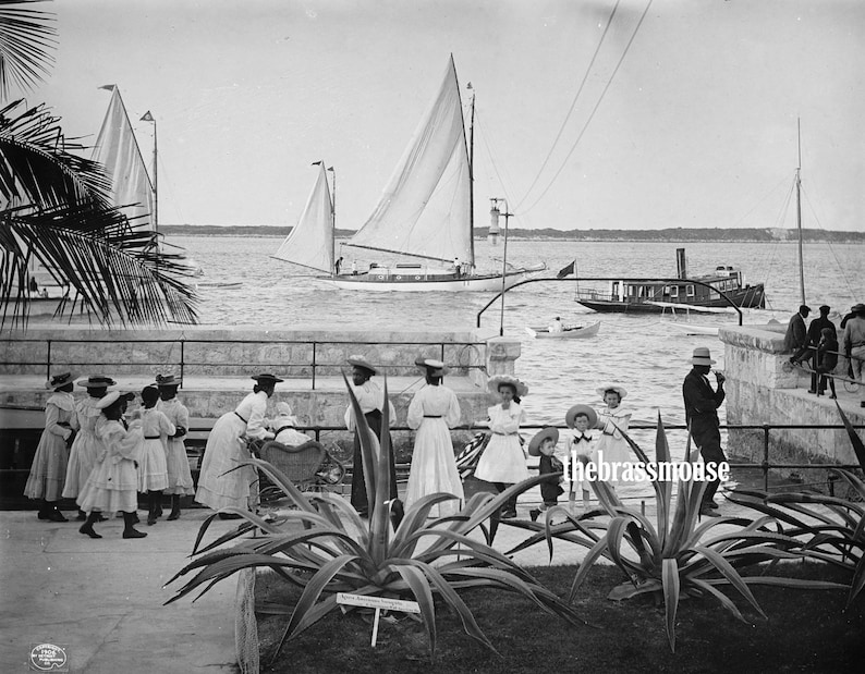 Ships in Port Nassau Bahamas 1900s Caribbean History Edwardian Fashion ...