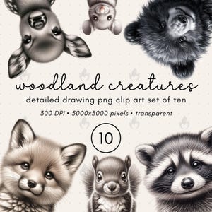 Woodland Animals Clipart, Cute Creature Clipart Set, Nursery Clipart Transparent PNGs, Fox, Bear, Deer Sublimation Design Files, Nursery Art