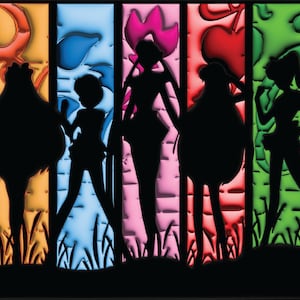 Handmade 3D Puffy Sailor Moon / Scouts Inspired  Silhouette  Tumbler