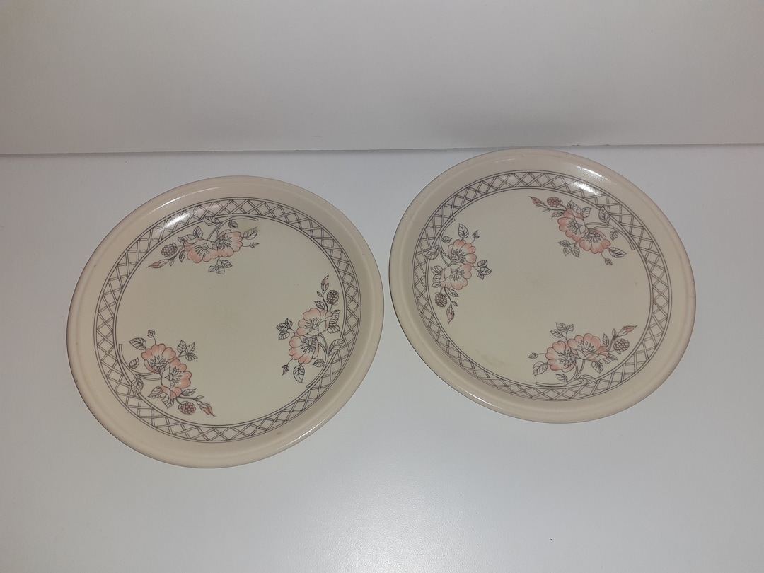 Bilton's Ironstone Tableware Pink Flowers Grey Bands and Lattice Set of ...