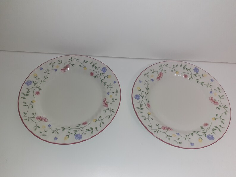 Johnson Brothers Summer Chintz Set of 2 Plates 8 3/8 Inches Etsy