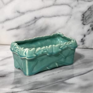 May include: A rectangular, turquoise ceramic planter with a leaf design. The planter has a scalloped rim and is suitable for small plants or succulents. The glossy finish enhances the vibrant color, making it a decorative piece for any room.