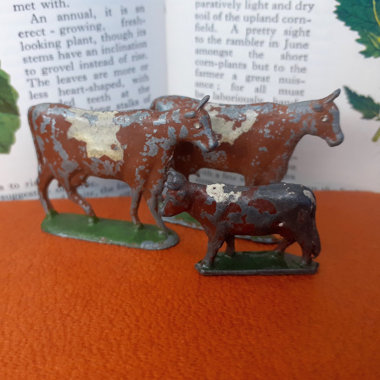 Miniature Supplies Mini Cows Farm Animals Set of 12 