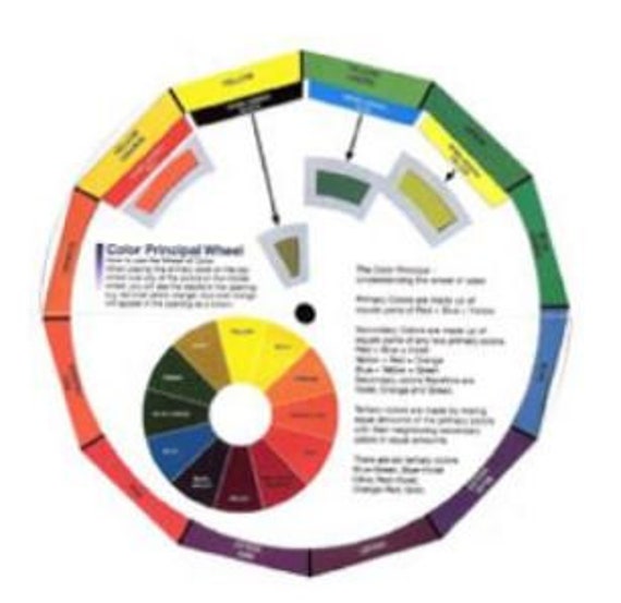 Color wheel hair mevabeyond