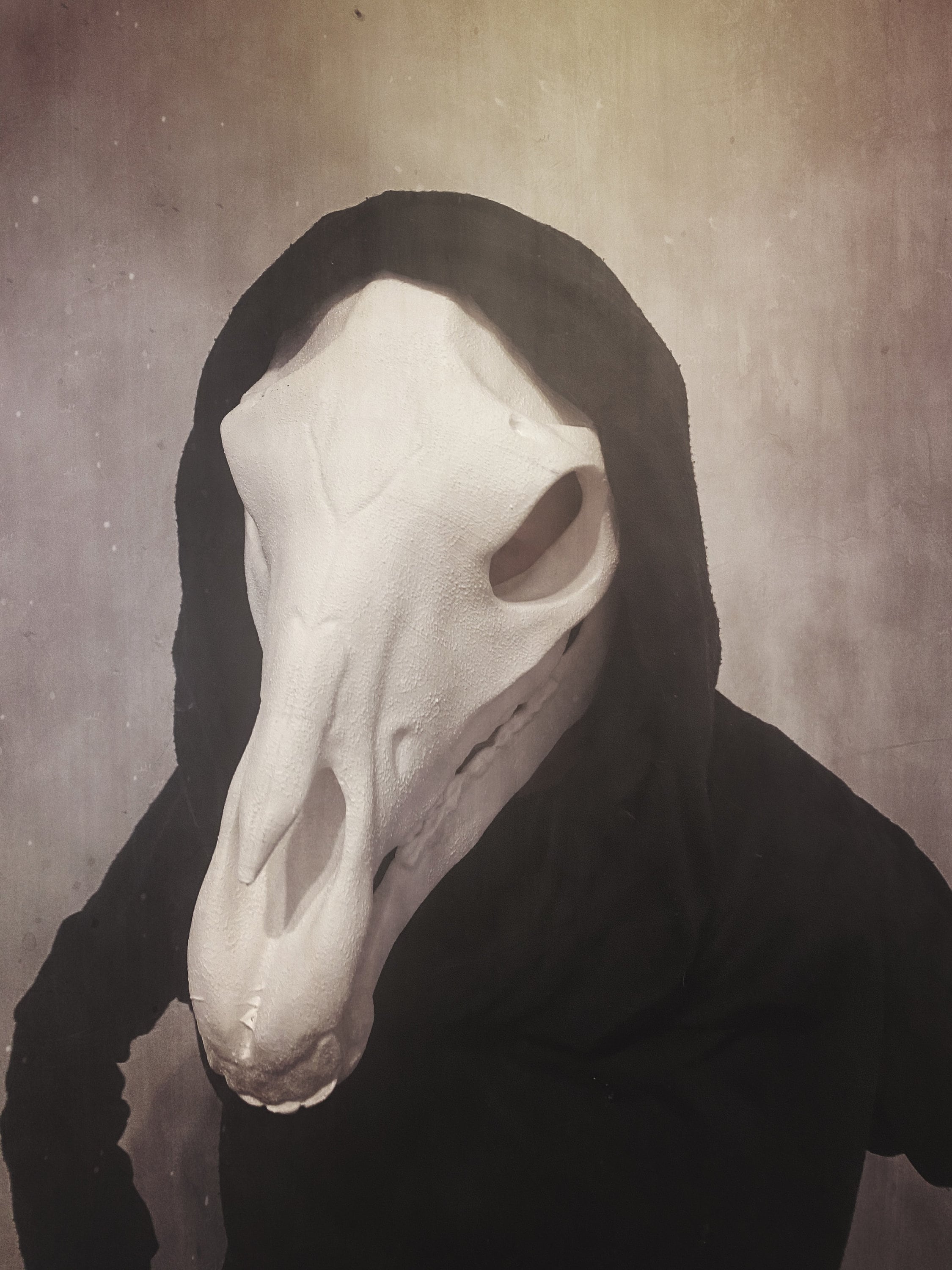 Movable Horse Skull Mask /Creepy Mask Anatomical Horse Skull Etsy