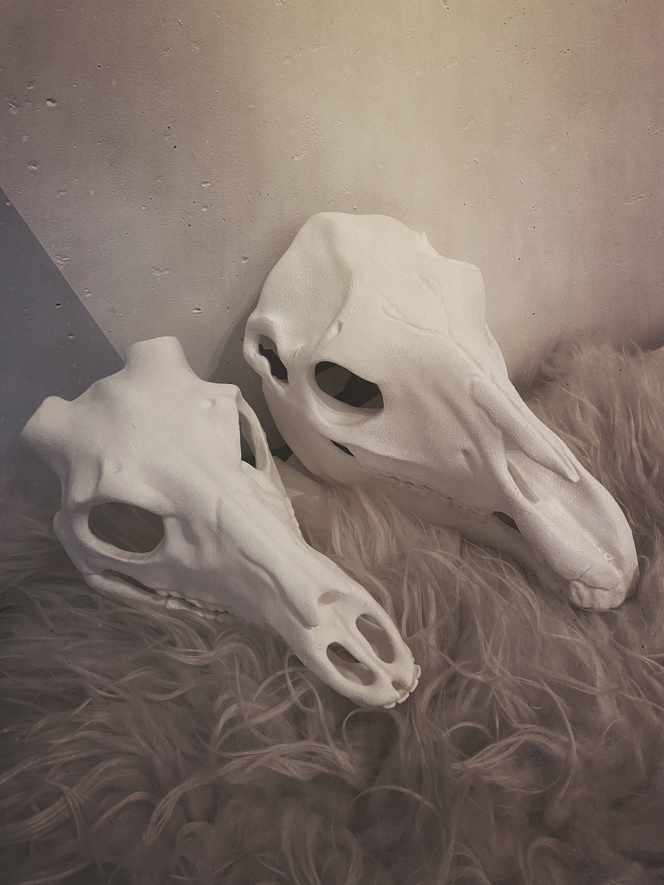 Movable Horse Skull Mask /Creepy Mask Anatomical Horse Skull Etsy