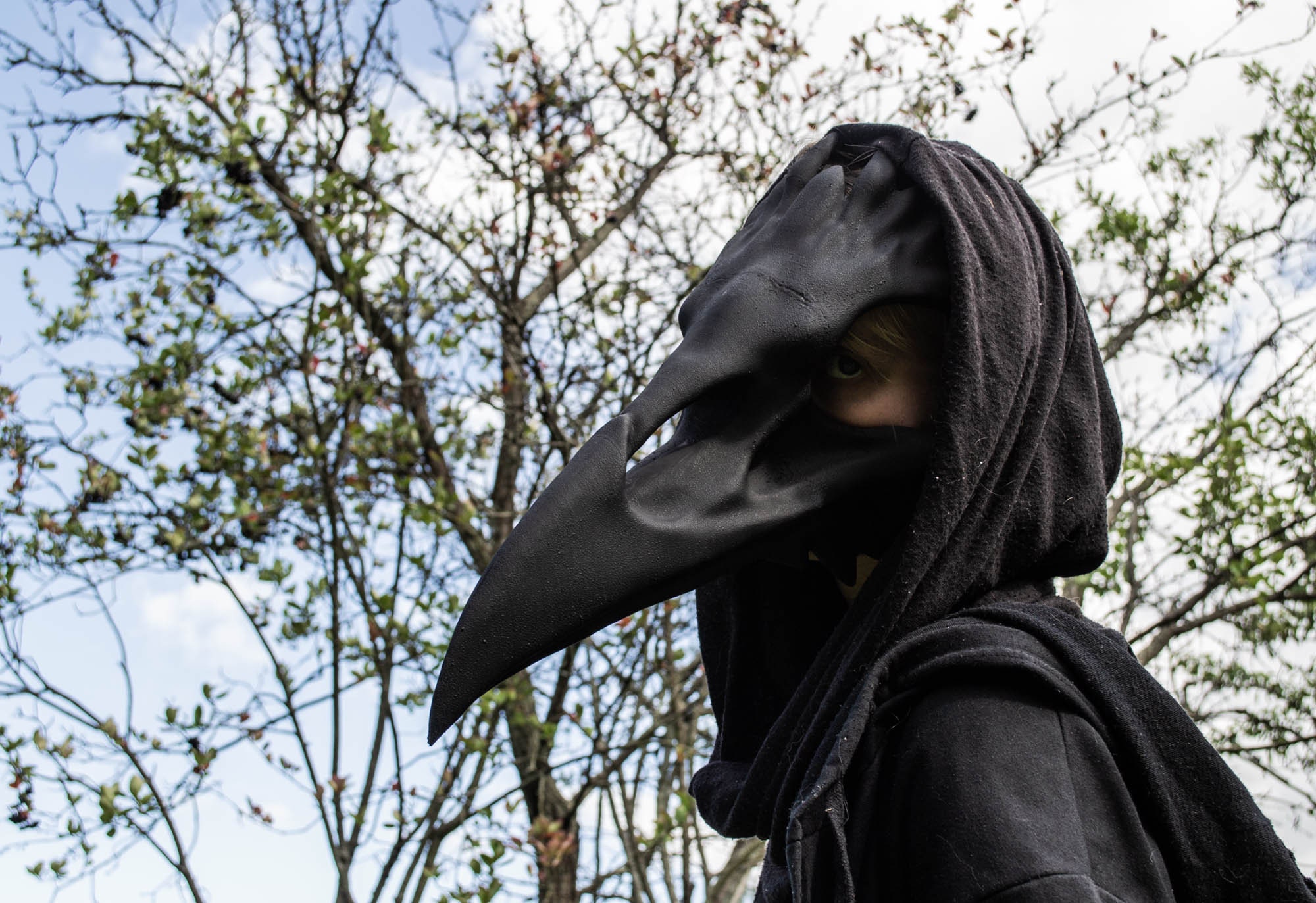 Dark Raven Mask / Raven Skull Macabre Mask Gothic Mask Etsy