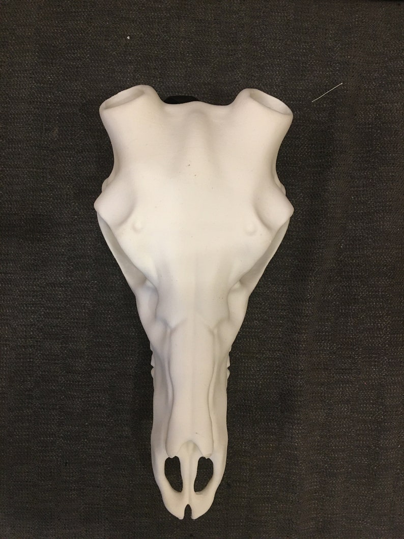 Deer Skull Mask without Antlers Wendigo Macabre Mask