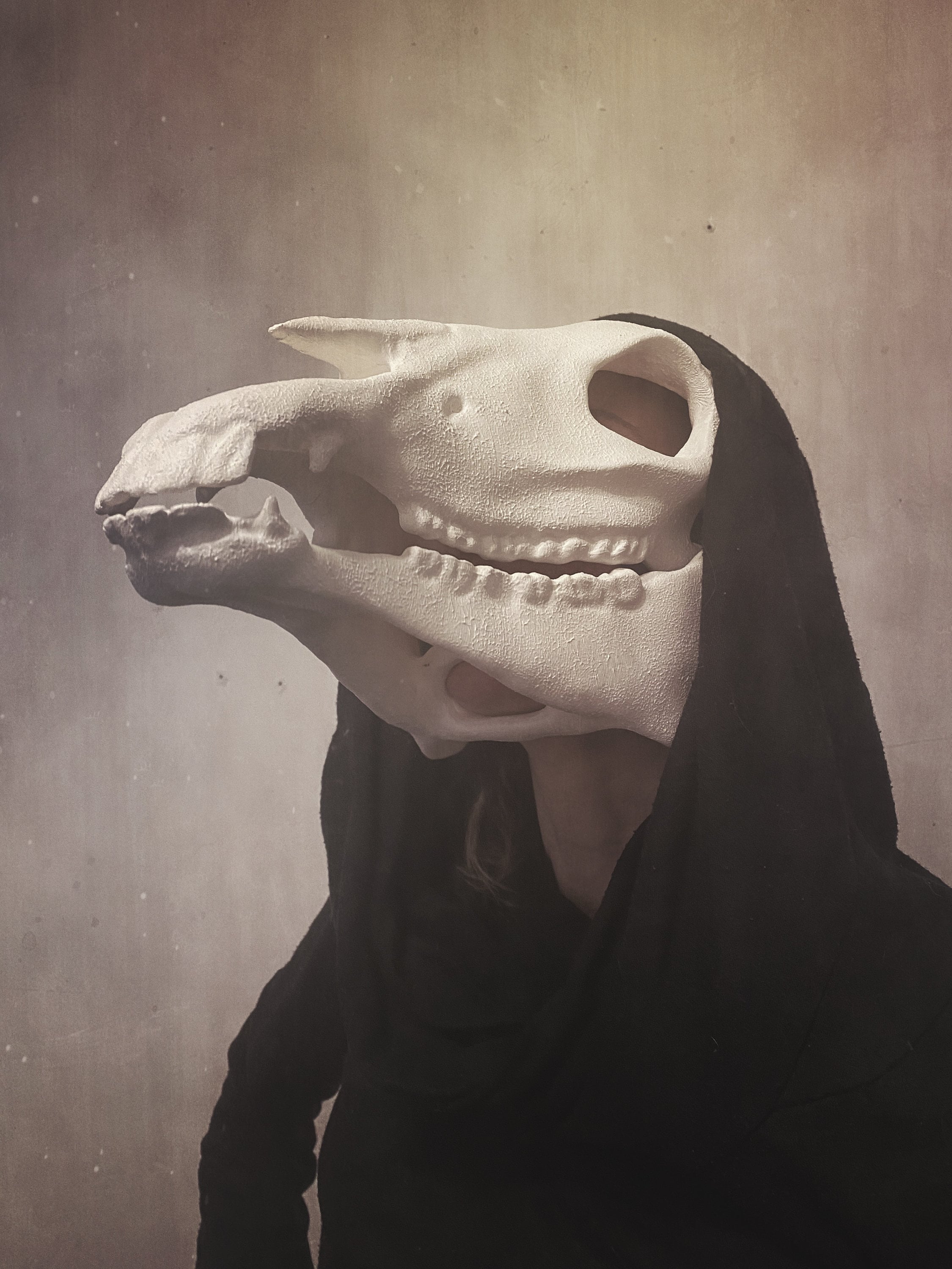 Movable Horse Skull Mask /Creepy Mask Anatomical Horse Skull Etsy