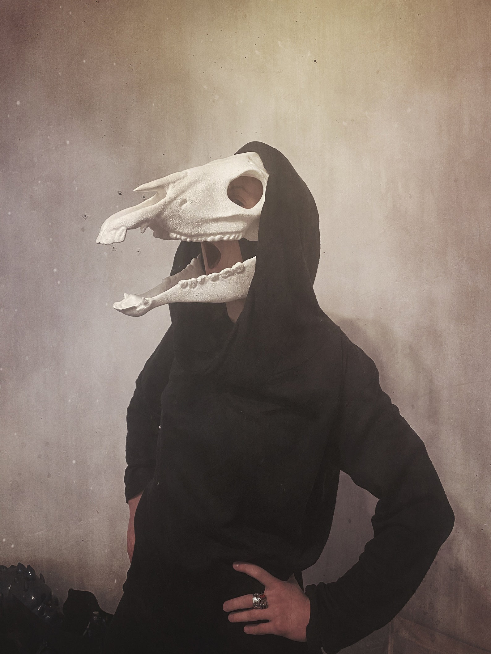 Movable Horse Skull Mask /Creepy Mask Anatomical Horse Skull Etsy