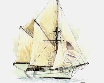 Illustration of a traditional sailing / Marine / watercolours