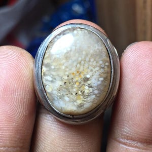 Può includere: Un anello di forma ovale con una pietra lucida e traslucida su una base color beige e crema. La pietra presenta un motivo distinto di piccole inclusioni circolari bianche e gialle che ricordano un gruppo di minuscoli punti organici floreali.