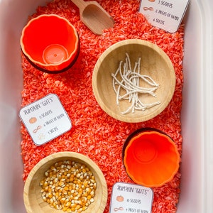 Karty aktywności sensorycznej dyni/jesieni do pobrania cyfrowego | Zestaw kart aktywności sensorycznej na Halloween | Sensory dla dzieci | Sensoryczny pojemnik dla dzieci