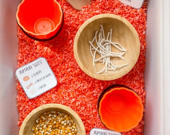Puede incluir: Un recipiente de plástico blanco lleno de arroz naranja, tres recipientes naranja en forma de calabaza, tres cuencos de madera y tres tarjetas con el texto "Pumpkin "Guts"" e instrucciones para una actividad de caja sensorial. Las tarjetas enumeran la cantidad de cucharadas de arroz, trozos de hilo y semillas que se deben usar.