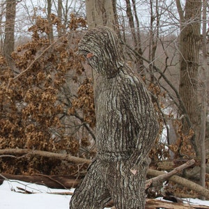 May include: A person wearing a camouflage suit that resembles tree bark, standing in a snowy forest setting.