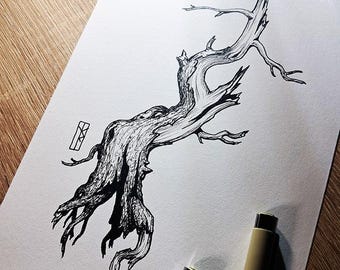 Old dead pine tree - original graphic ink drawing