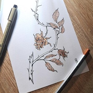 Martwa róża - oryginalny rysunek tuszem graficznym