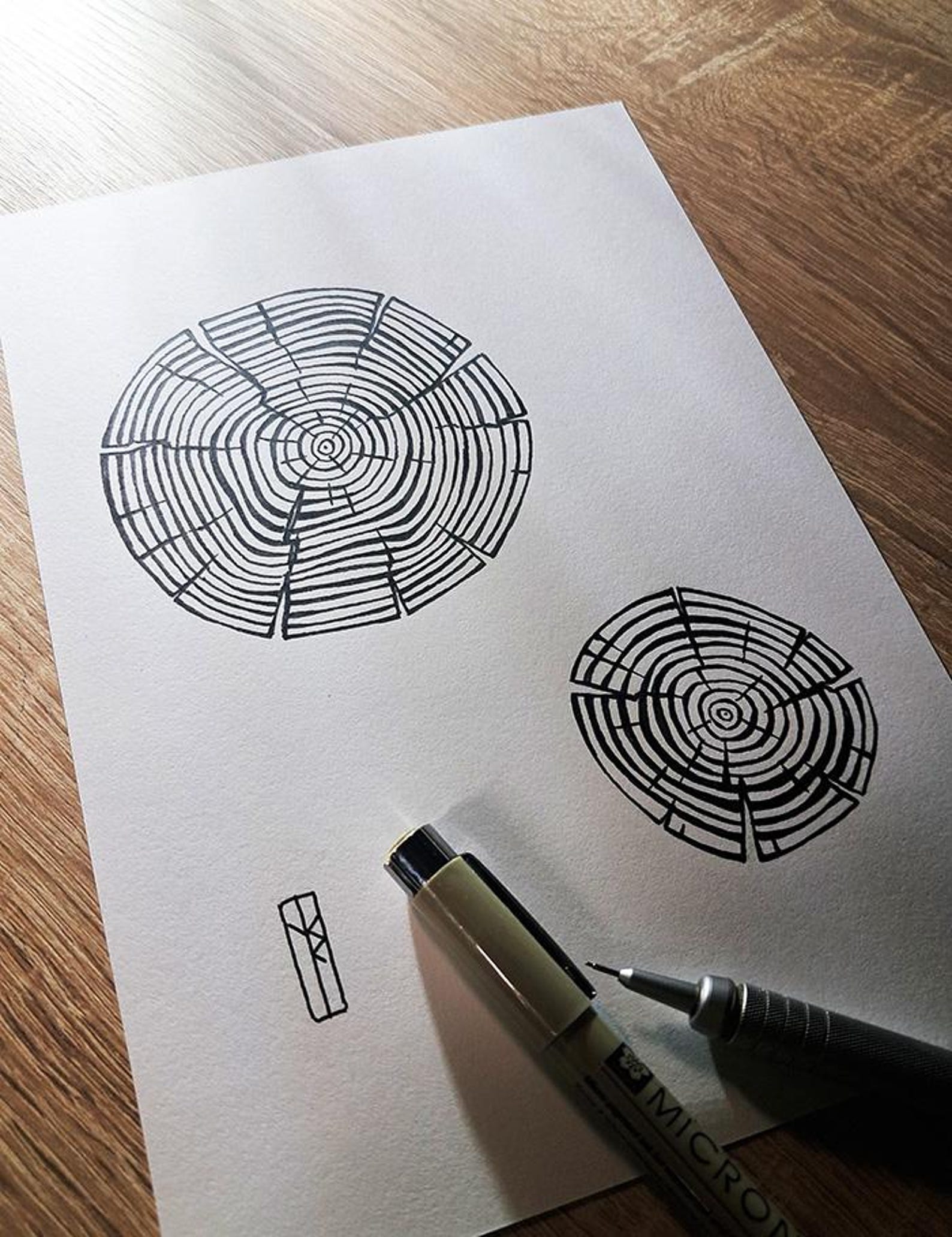 Tree Rings Graphis Tree Rings - Original Graphic Ink Drawing - Etsy