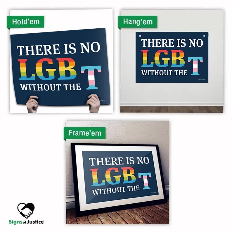 Puede incluir: Un cartel azul con el texto "THERE IS NO LGBT WITHOUT THE" en letras blancas. Las letras de LGBT son de colores arco&iacute;ris y la T es una bandera transg&eacute;nero.