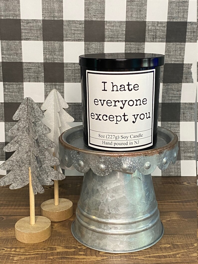 I hate everyone except you candle funny candle inappropriate Etsy