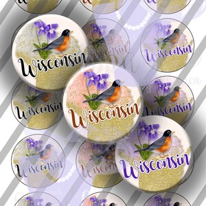 May include: A sheet of 1 inch diameter circle stickers featuring a robin perched on a branch with purple flowers and the word "Wisconsin" in black text on a gold glitter background. The sheet is 4x6 inches.