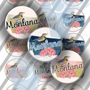 May include: A sheet of 1 inch diameter circle stickers featuring a design of a bird, flowers, and glitter with the word "Montana" in gold lettering. The sheet is 4x6 inches.
