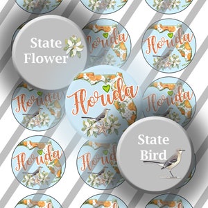 Florida kaart oranje bloesem bloem en Mockingbird digitale fles dop afbeeldingen, 1 inch (25 mm) cirkels, 4 x 6 vel: Instant Download