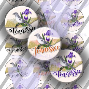 Mapa de Tennessee con flor de iris púrpura y ruiseñor, imágenes digitales de tapas de botellas, círculos de 1 pulgada (25 mm): descarga instantánea