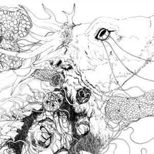 VIVUS | 11&quot; x 17&quot; Beautiful Detailed Line Drawing Print for Wall Art | The Grand Cycle