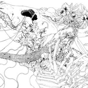 MORTUUS | 11&quot; x 17&quot; Beautiful Detailed Line Drawing Print for Wall Art | The Grand Cycle