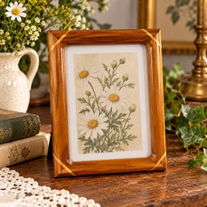 Könnte beinhalten: Ein rechteckiger Bilderrahmen aus Holz mit hellen Einlegearbeiten an jeder Ecke. Der Rahmen enthält einen Druck mit einer botanischen Illustration von weißen Gänseblümchen mit gelben Mitten und grünen Blättern auf cremefarbenem Grund.