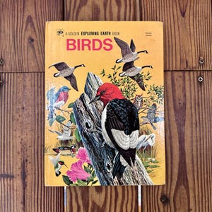 Vintage 1973 Birds Book: A Golden Exploring Earth Book