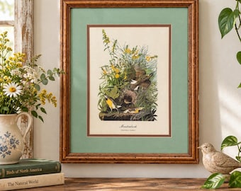 Vintage 1991 Christian Riese Lassen Dolphin Print Framed Art