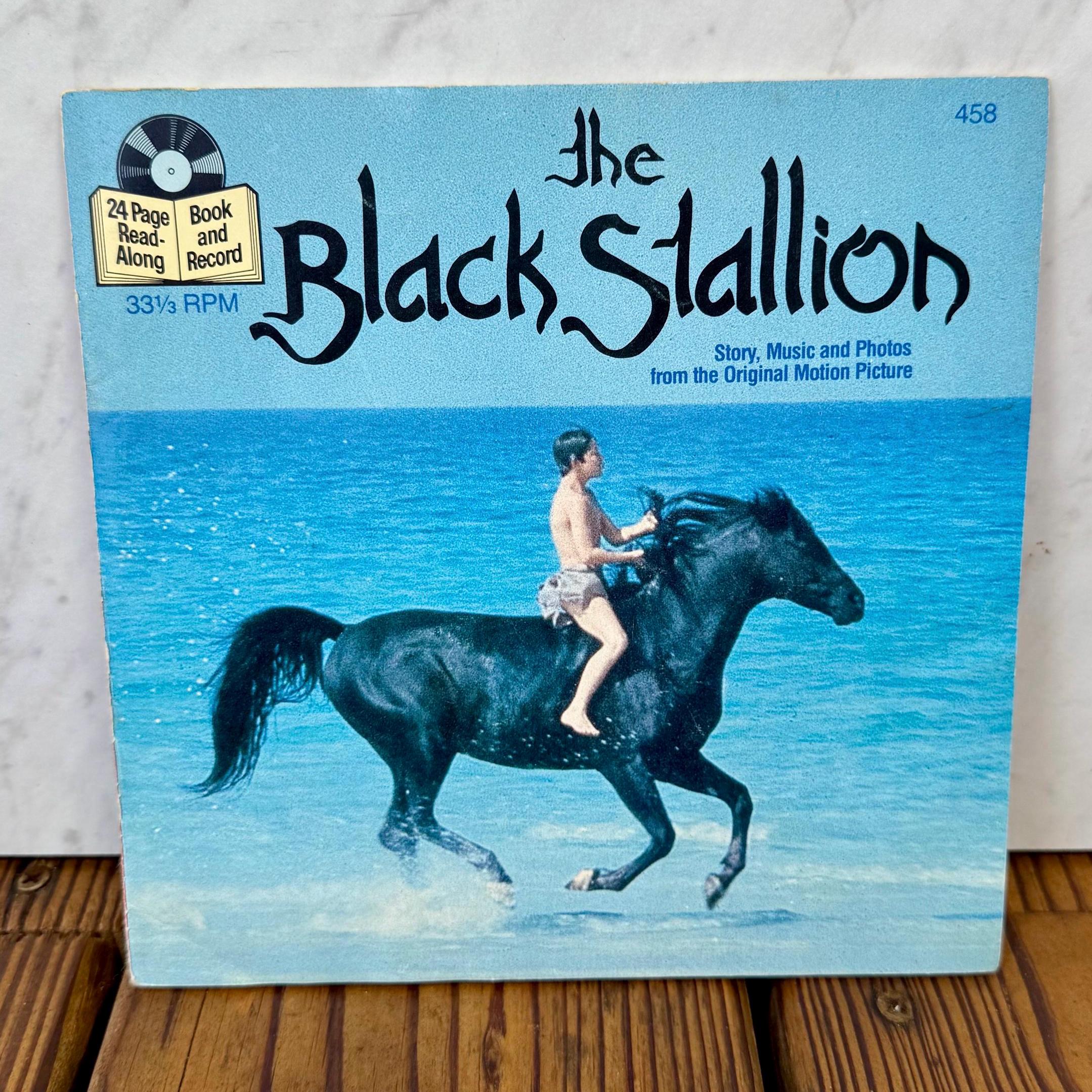 The Black Stallion 1979 - Etsy
