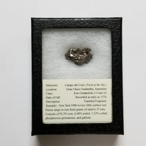 Meteorite Specimen, Free Shipping (20199), Campo del Cielo Meteorite in Display Case, Meteorite, Pendantlady