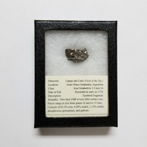 Campo del Cielo Meteorite, Free Shipping (20198), Meteorite Specimen, Campo del Cielo Meteorite in Display Case, Meteorite, Pendantlady