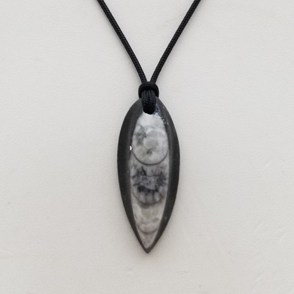 Orthoceras Pendant Necklace, Free Shipping (21263), Orthoceras Fossil Necklace, Fossil Pendant, Pendantlady