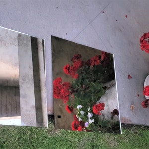 May include: Two rectangular mirrors are leaning against a concrete wall. The mirrors are reflecting a view of a white wall and a wooden floor. A potted plant with red flowers is in front of the mirrors.