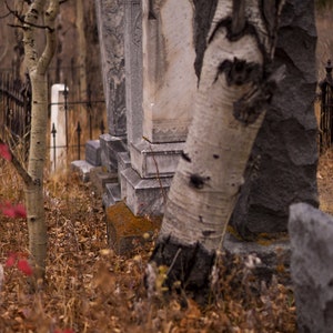 Halloween digital backdrop, Halloween overlay for photoshop, PS instant download, Scary Halloween digital, Cemetery background,