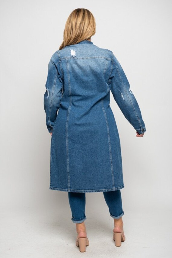 Distressed Denim Blue Jean 