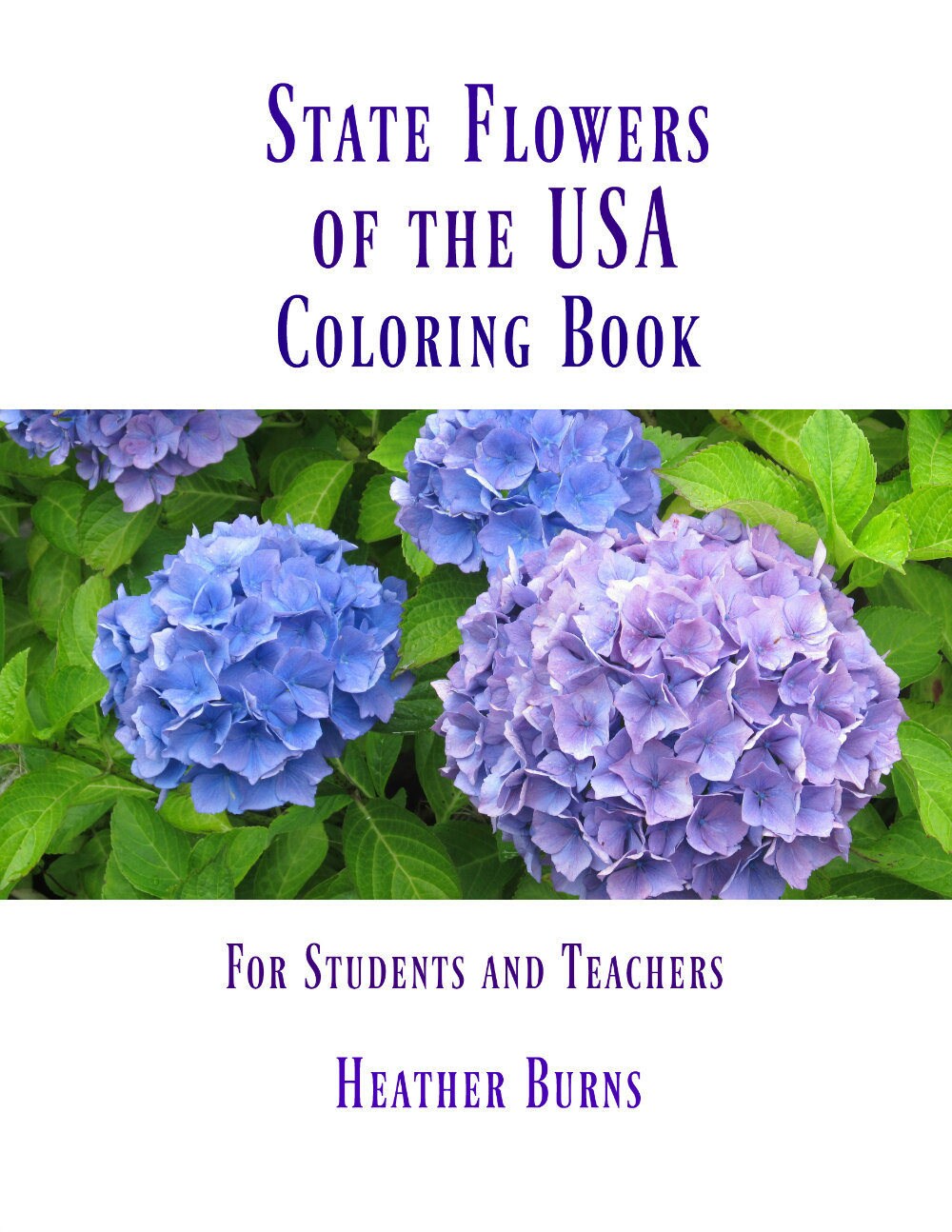 Download Coloring Book State Flowers Of The Usa Coloring Book Adult Etsy
