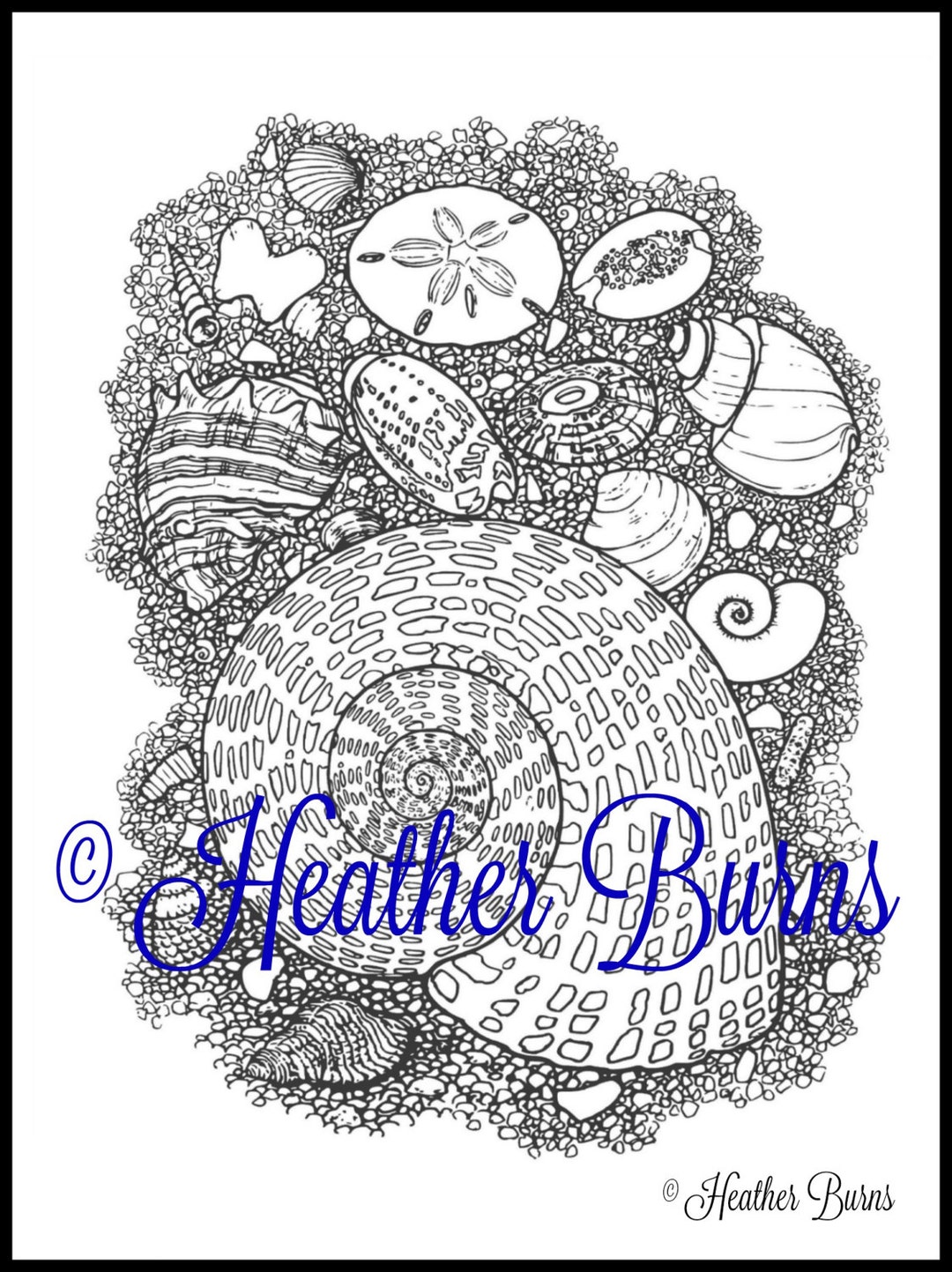 Shell Abstract Coloring Coloring Page/shells Drawing to Color/adult Coloring/shell Coloring - Etsy