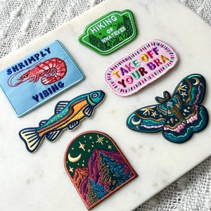 Pu&ograve; includere: Collezione di toppe ricamate con vari disegni. Include una toppa blu con un gambero e la scritta "Shrimply Yibing", una toppa verde con "Hiking or Whatever", e una toppa rosa con "Take Off Your Bra". Altre toppe raffigurano un pesce, una scena di montagna e una falena.