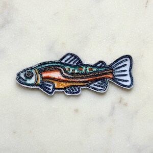 Pu&ograve; includere: Toppa ricamata a forma di pesce. Il pesce ha un contorno bianco ed &egrave; dettagliato con colori arancione, verde e marrone. Le pinne e la coda del pesce sono delineate con un filo blu scuro.