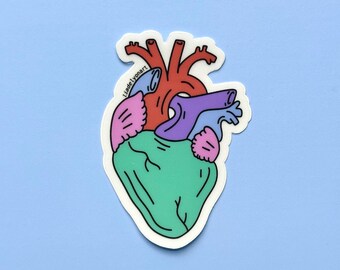 Sticker anatomische hartwaterfles