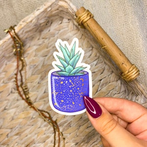 Pegatina para ordenador con forma de planta suculenta y para botella de agua