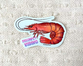 Funny Shrimp Bumper Sticker