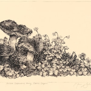 Russula Californiensis Among Oxalis Origan - Impression mate originale fine art champignon 15 x 11 po